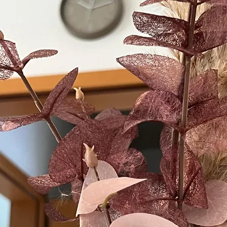 Auszeit Im Pott - Lavendel