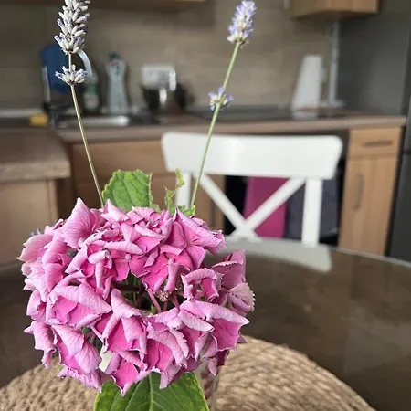 Apartment Auszeit Im Pott - Lavendel *
