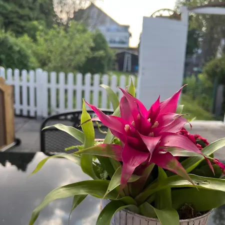 Auszeit Im Pott - Lavendel