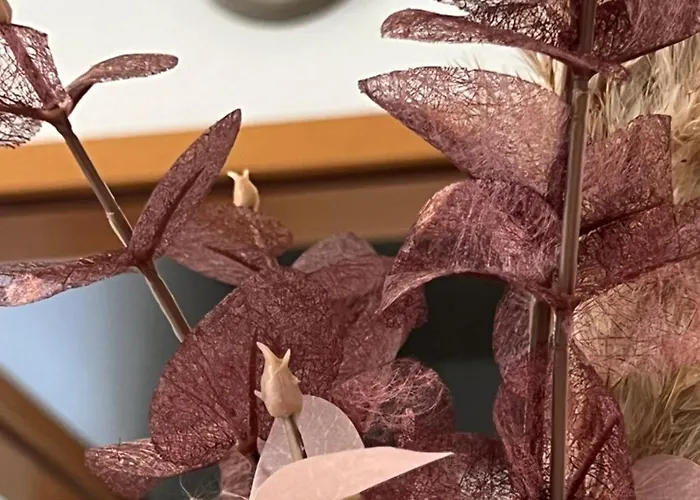 Auszeit Im Pott - Lavendel