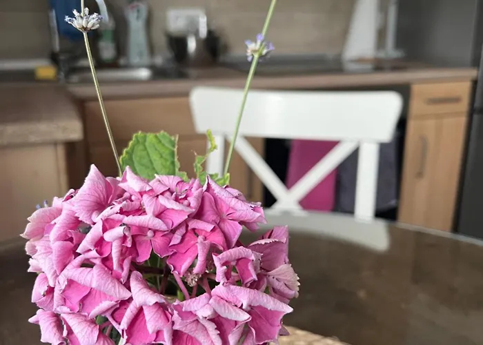 Appartement Auszeit Im Pott - Lavendel *