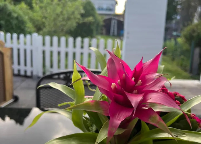 Auszeit Im Pott - Lavendel